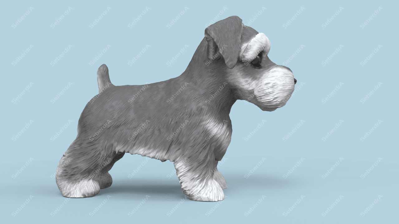 Cute Schnauzer 3d model