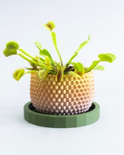 SPATHI Planter 02 // Small Plant Pot or Container 3d model