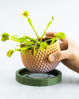 SPATHI Planter 02 // Small Plant Pot or Container 3d model