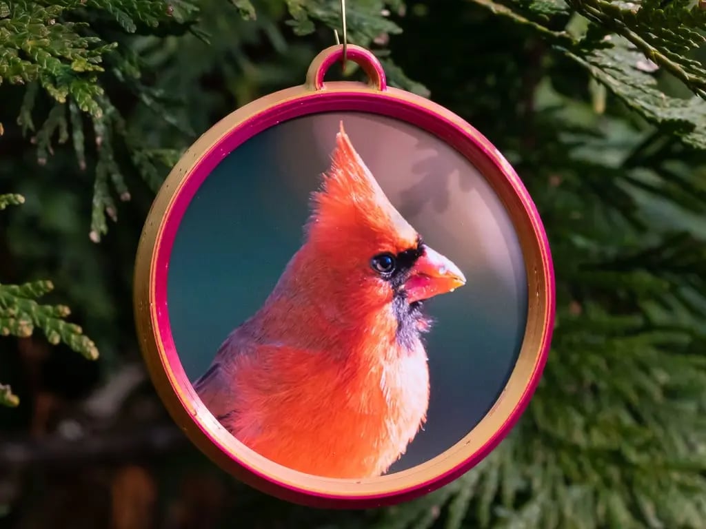 Picture Frame Christmas Ornament 3d model