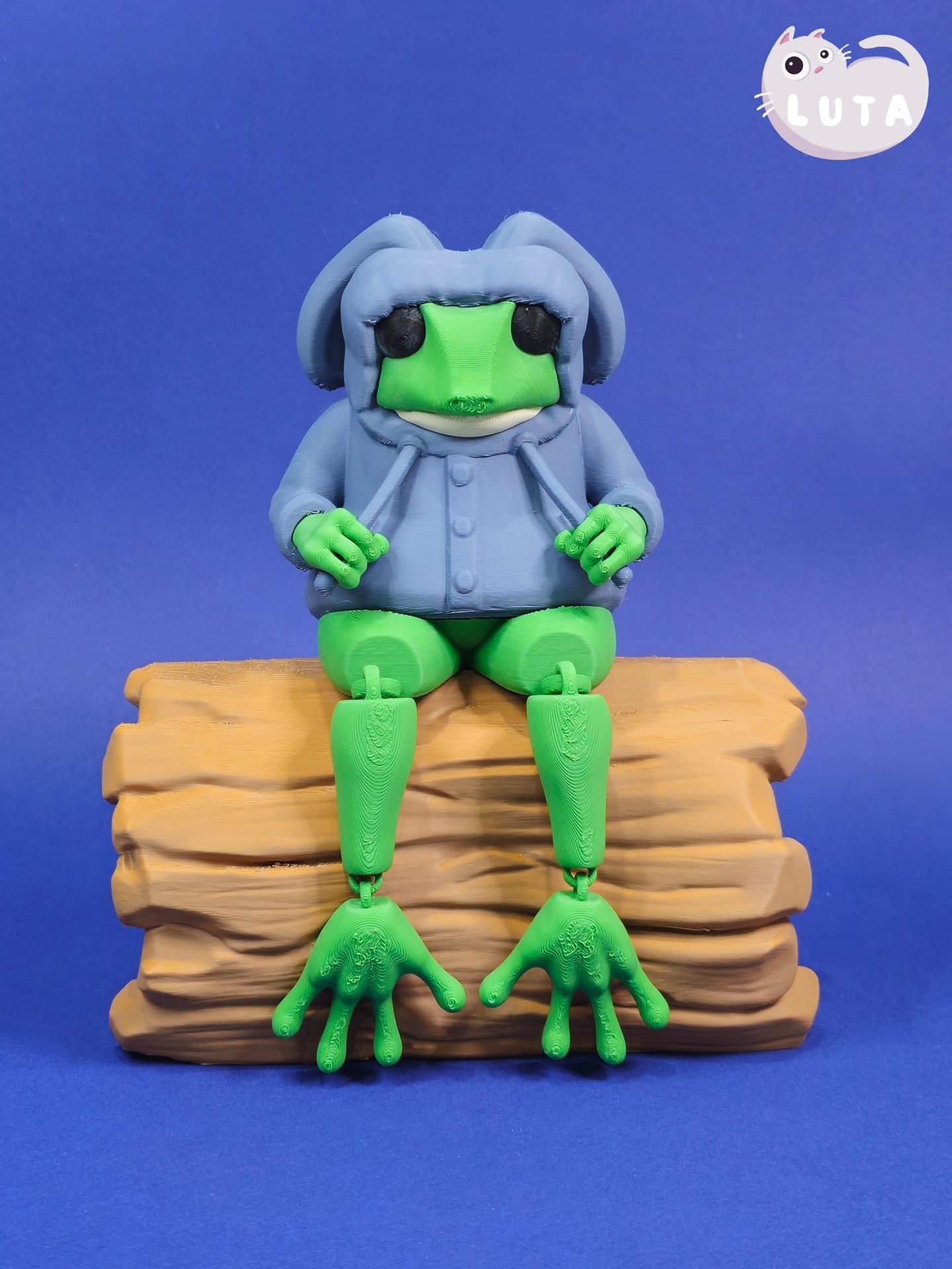 Bunny Raincoat Frog 3d model