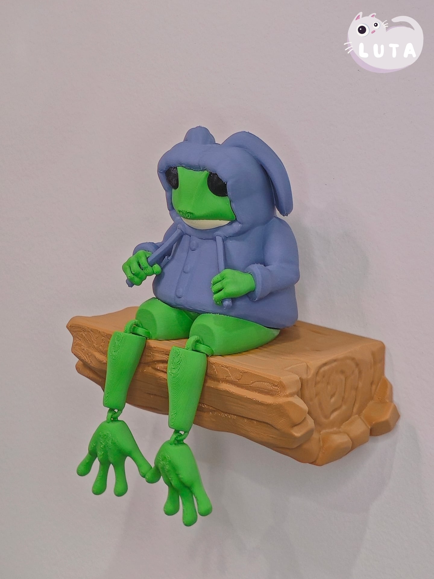 Bunny Raincoat Frog 3d model