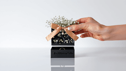 The Royal Gift Box-customizable 3d model