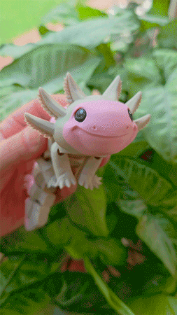 Cute Axolotl Articulated 3d model