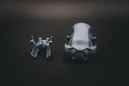 Three Toed Sloth Skull (Pre Supported) 3d model