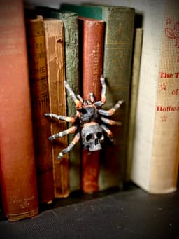 Skull tarantula spine hugger 3d model
