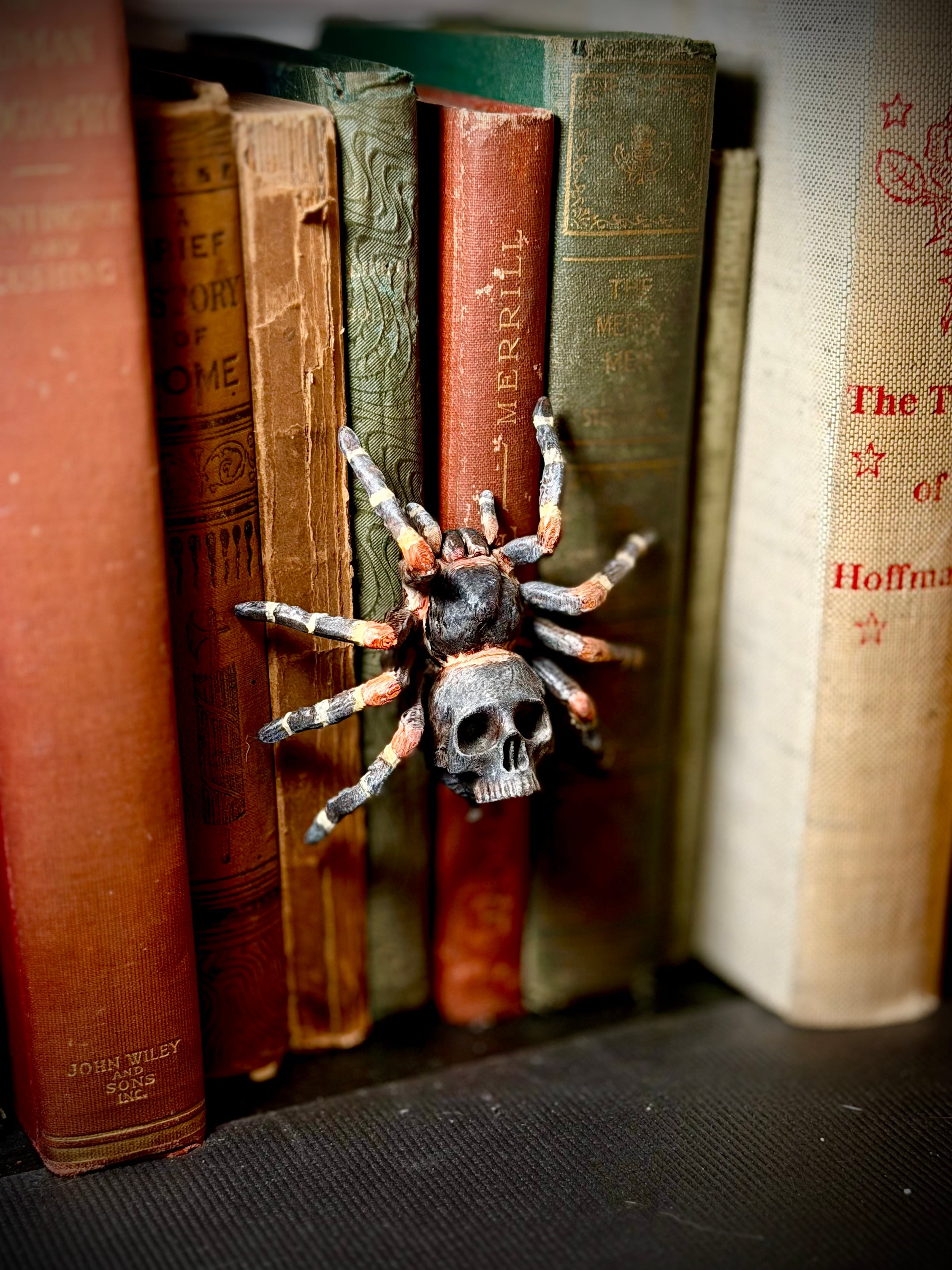 Skull tarantula spine hugger 3d model