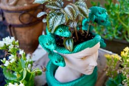 Medusa Planter 3d model
