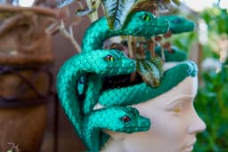 Medusa Planter 3d model