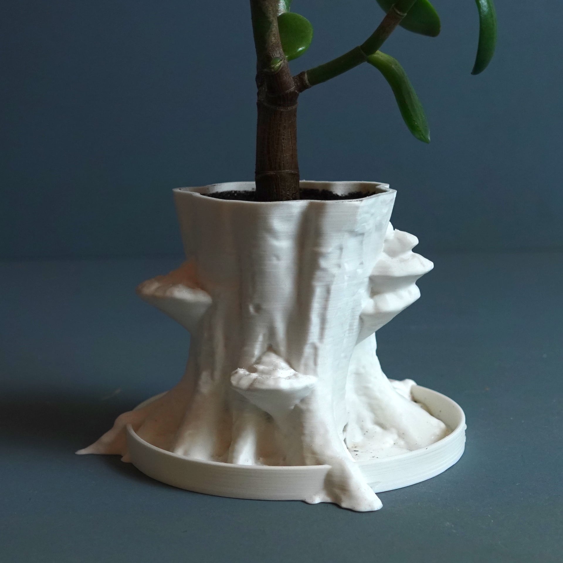 Planter “Sylvatica Tree” 3d model