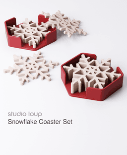 Snowflake Coaster Set 3d model