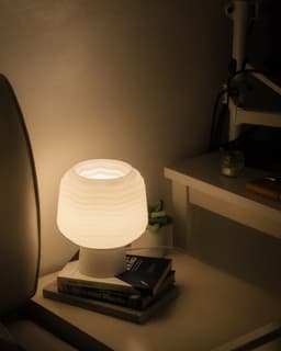 Wavy Mushroom Lamp 3d model