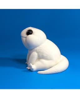 Albino Gecko. 3d model