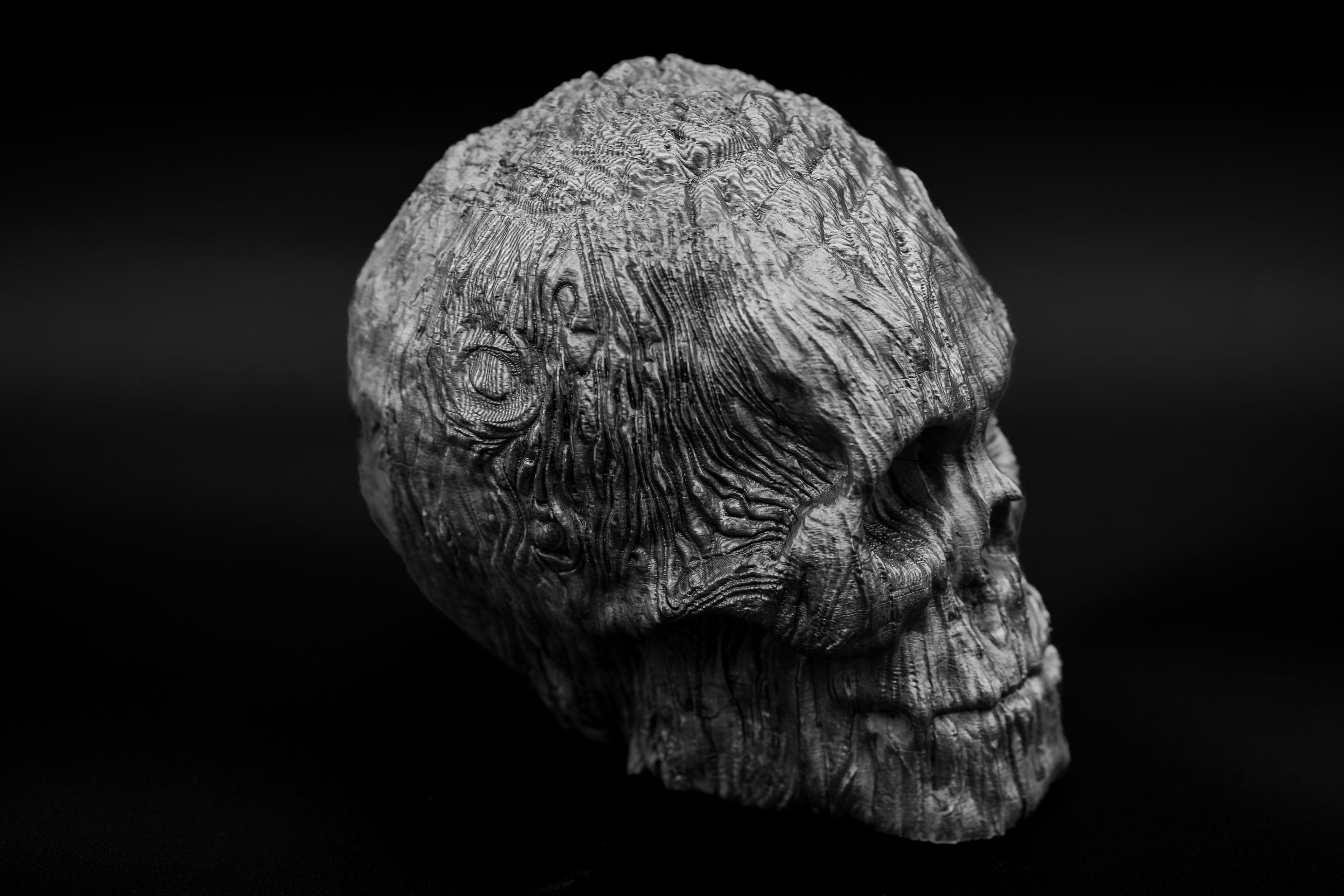 Forest Spirit Skull 3d model