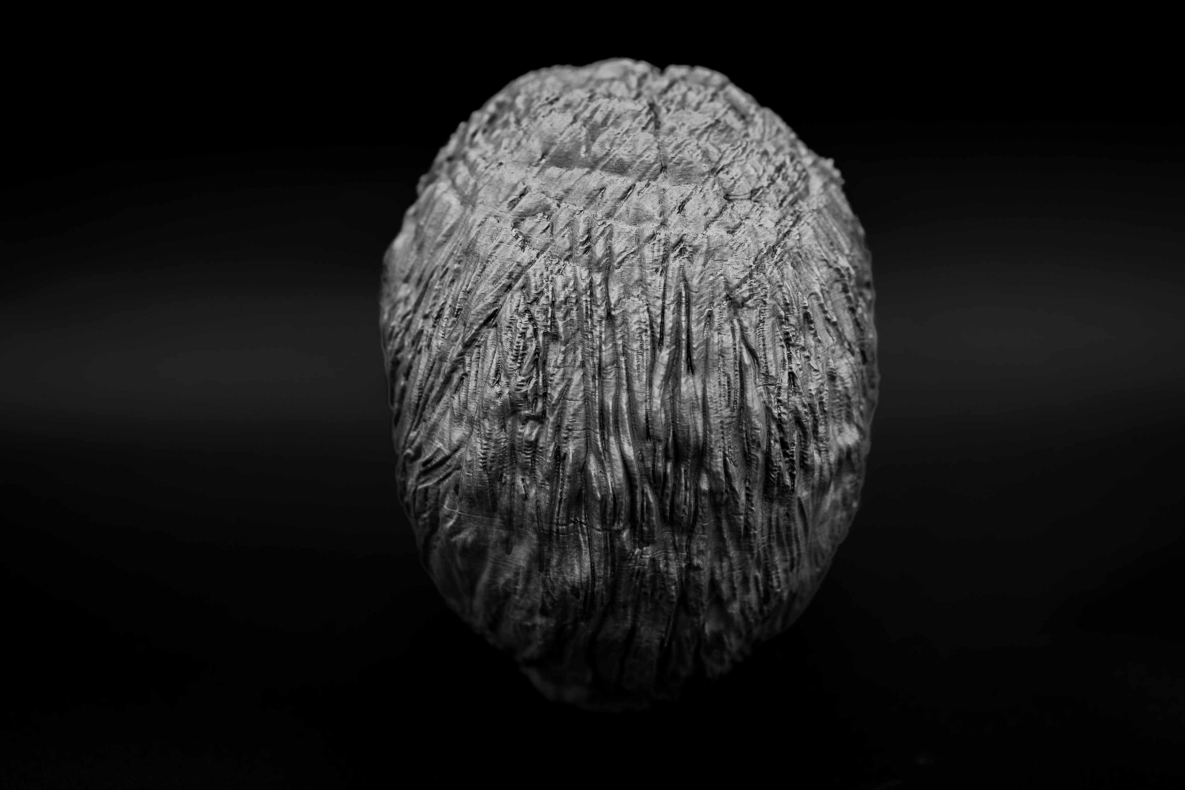 Forest Spirit Skull 3d model