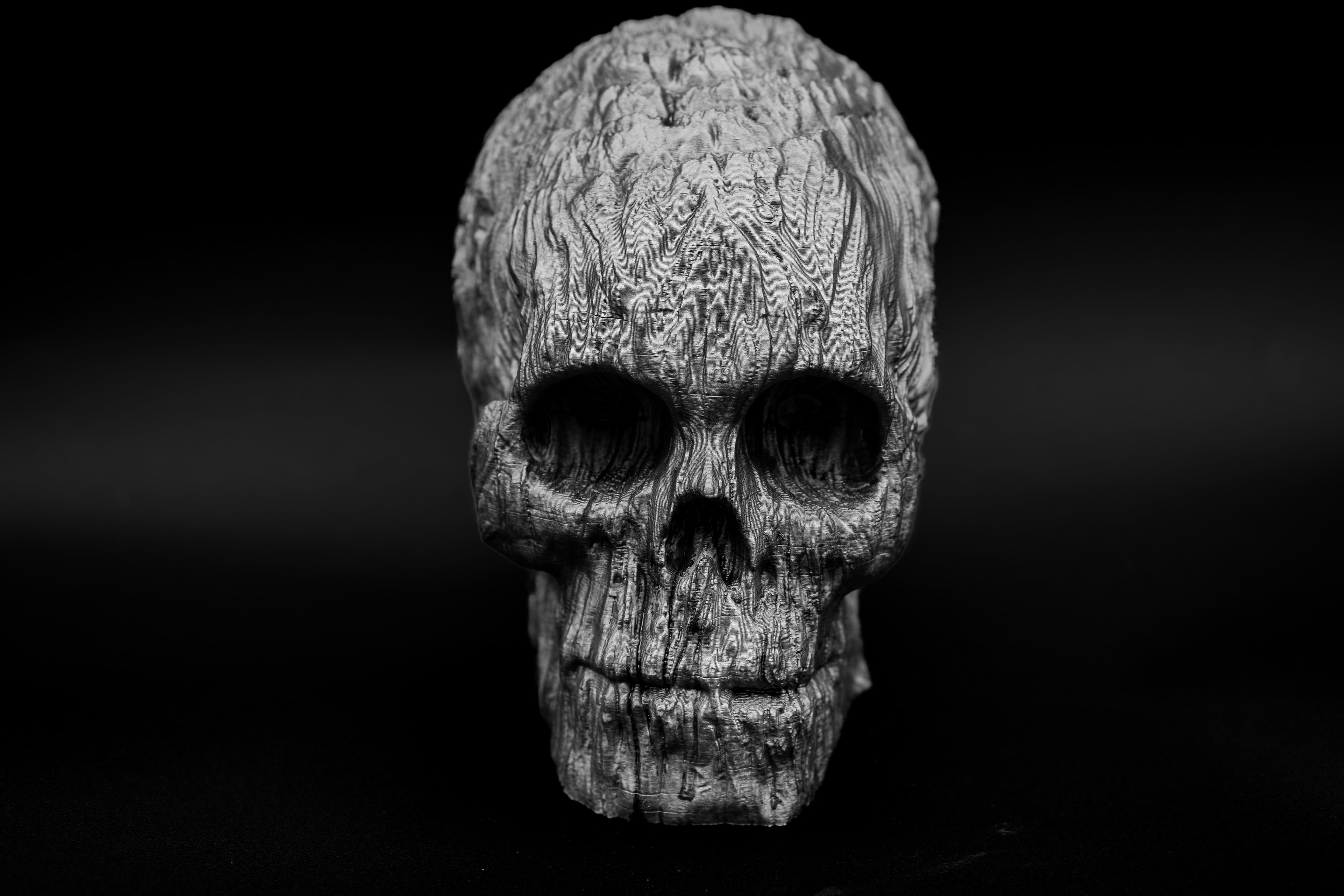 Forest Spirit Skull 3d model