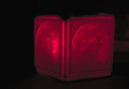 Wolf Lithophane external 3d model