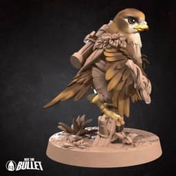 Hawkfolk Ranger 3d model