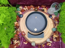 Universal Circular Lightbox – 15 cm 3d model