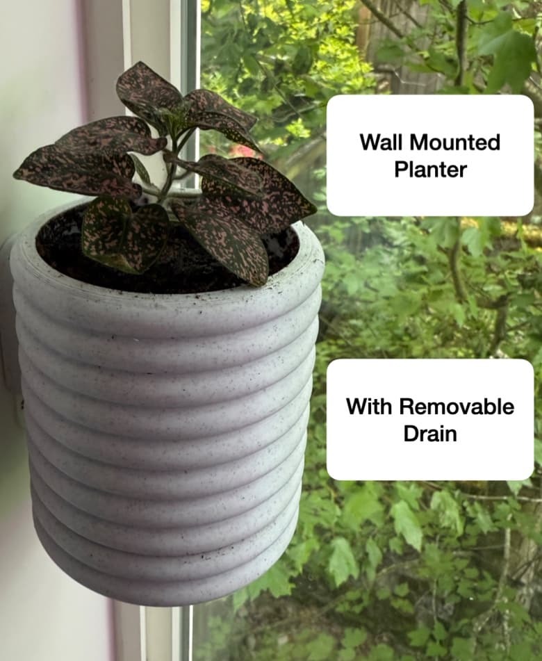 Wall-Mounted Succulent Planter with Screw off Drain Hole 3d model