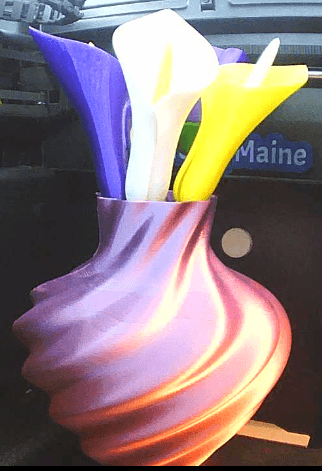 Swirl vase 3d model