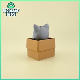 Box Cat Fidget Clicker Keychain 3d model