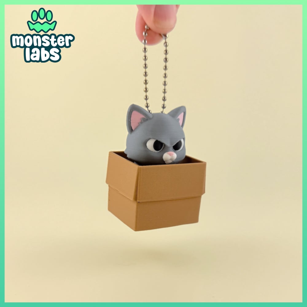Box Cat Fidget Clicker Keychain 3d model