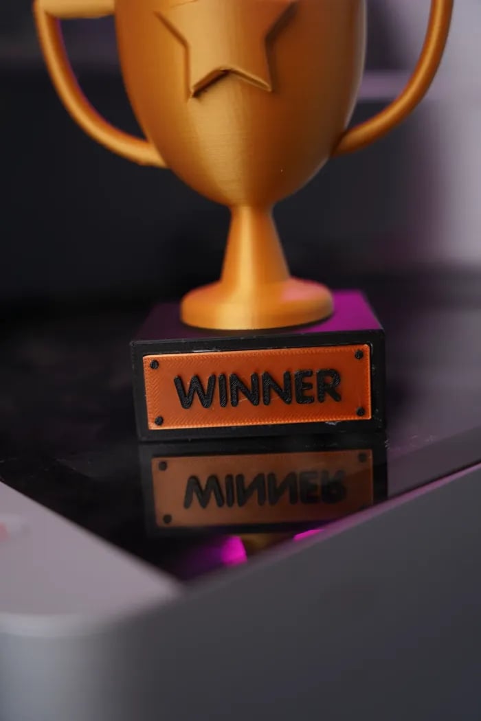 WINNER Trophy - Multipart 3d model