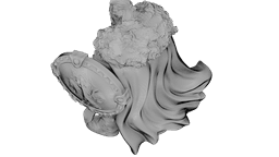 Bearded Warlord 3d model