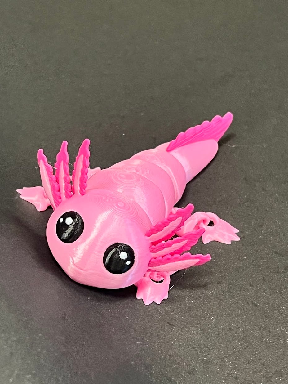 Axolotl Kawaii Multicolor 3d model