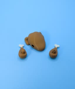 Thanksgiving Turkey Fidget Toy 3d model