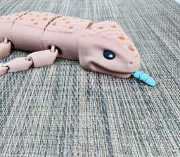 Blue-tongued Skink Subscriber Exclusive 3d model