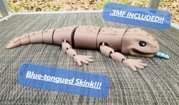 Blue-tongued Skink Subscriber Exclusive 3d model