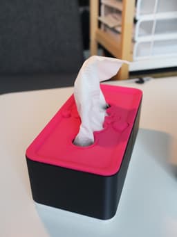 Modular tissue box and organiser (suitable with small printers) 3d model