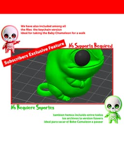 Baby Chameleon 3d model