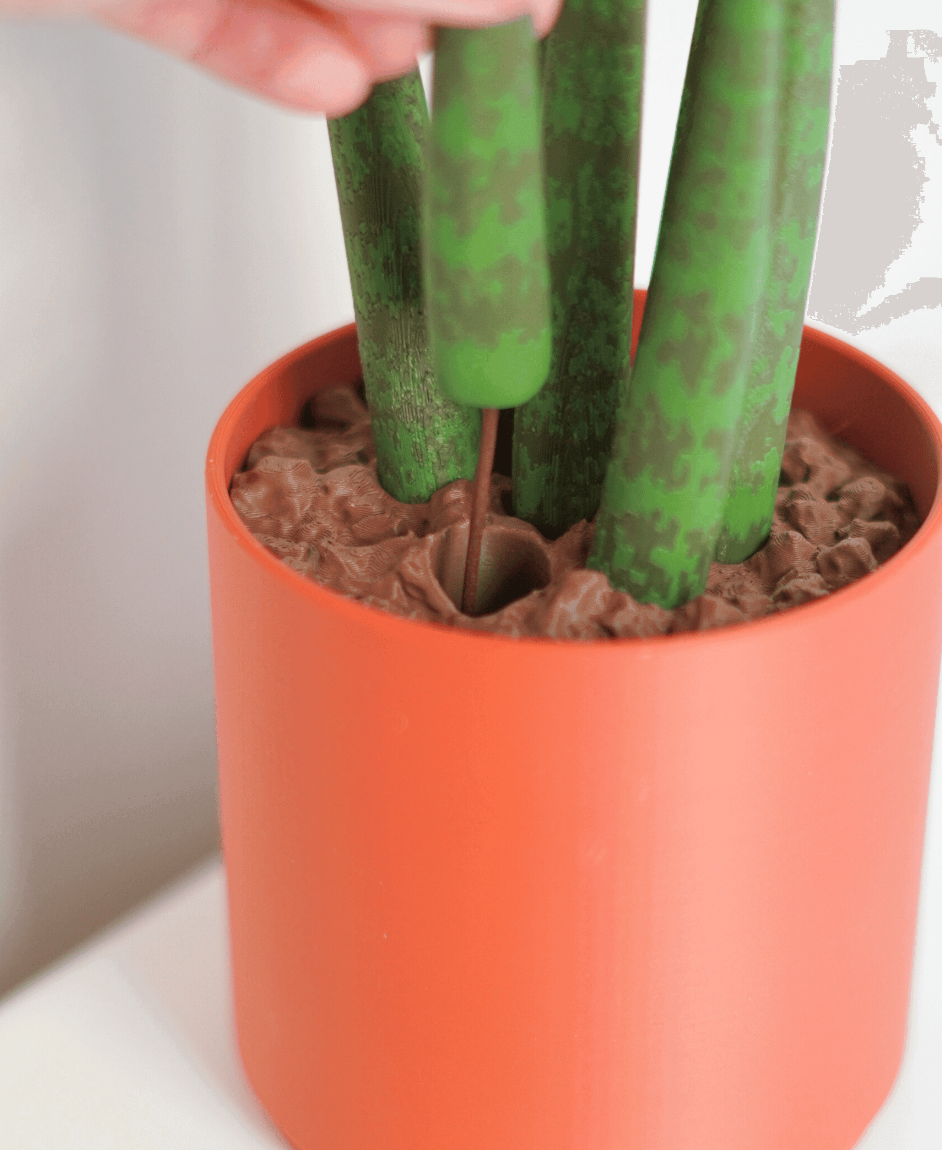 Drain Snake Snake Plant 3d model