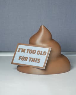 I'm too old for this - Poop shaped container 3d model