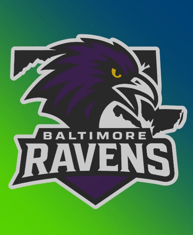 Baltimore Ravens Custom Series 1: Part 18/32 3d model