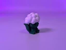 Cauliflower fruit & veggie buddy 3d model
