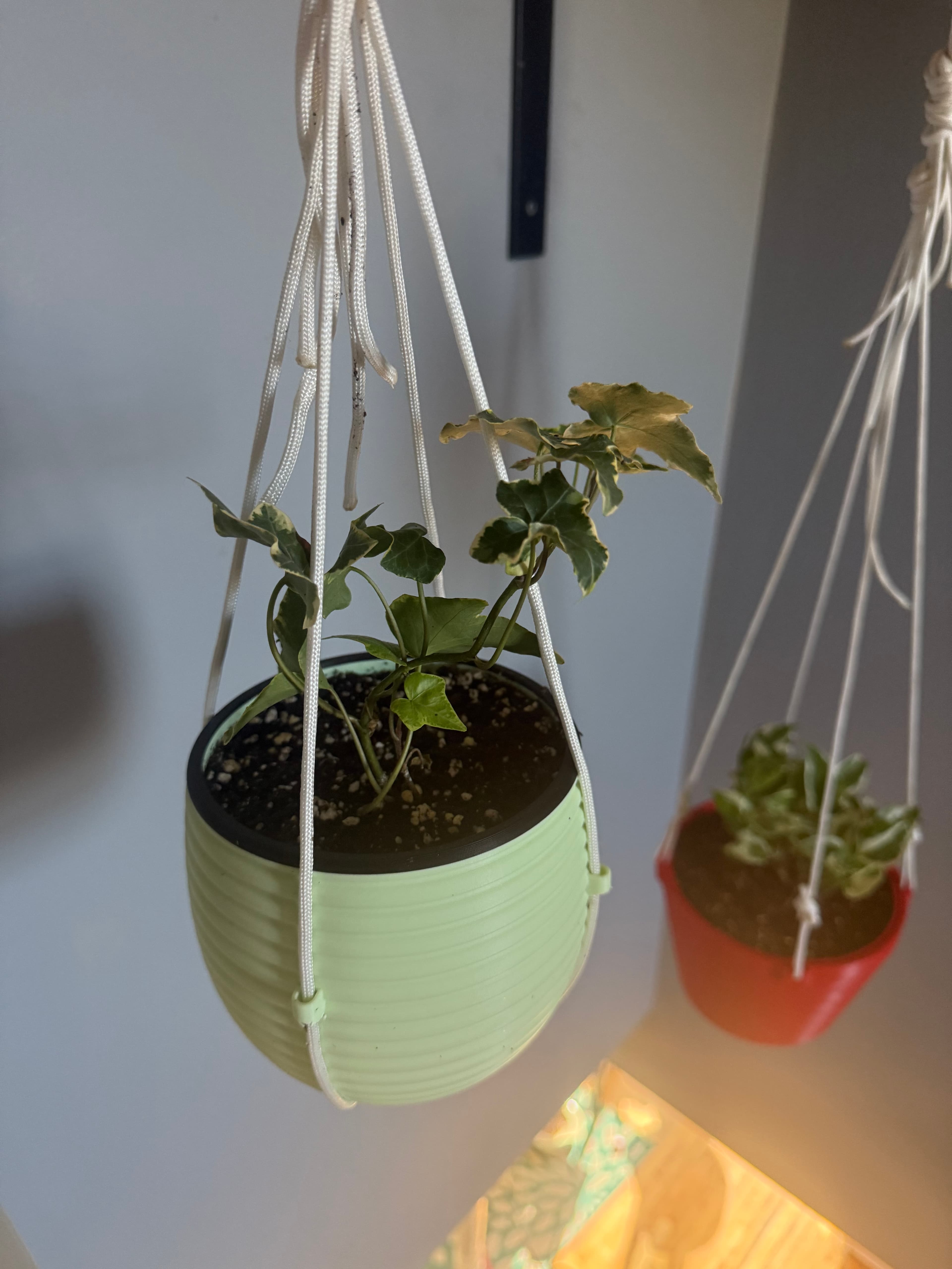 Great print; but could use some drainage holes as my plant is a bit cranky with wet feet