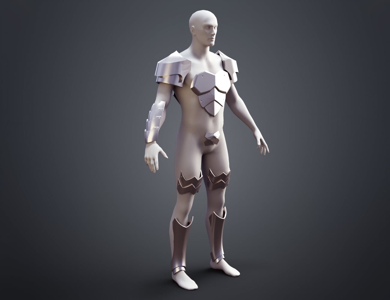 Armor - Goblin Slayer 3d model
