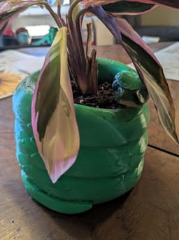 My son loves snakes and needed a small pot for his new plant, so this was a perfect fit. I scaled the model up a little, printed, painted the face, and applied a clear coat to keep the paint from running. Turned out adorable and he loves it! 3d model