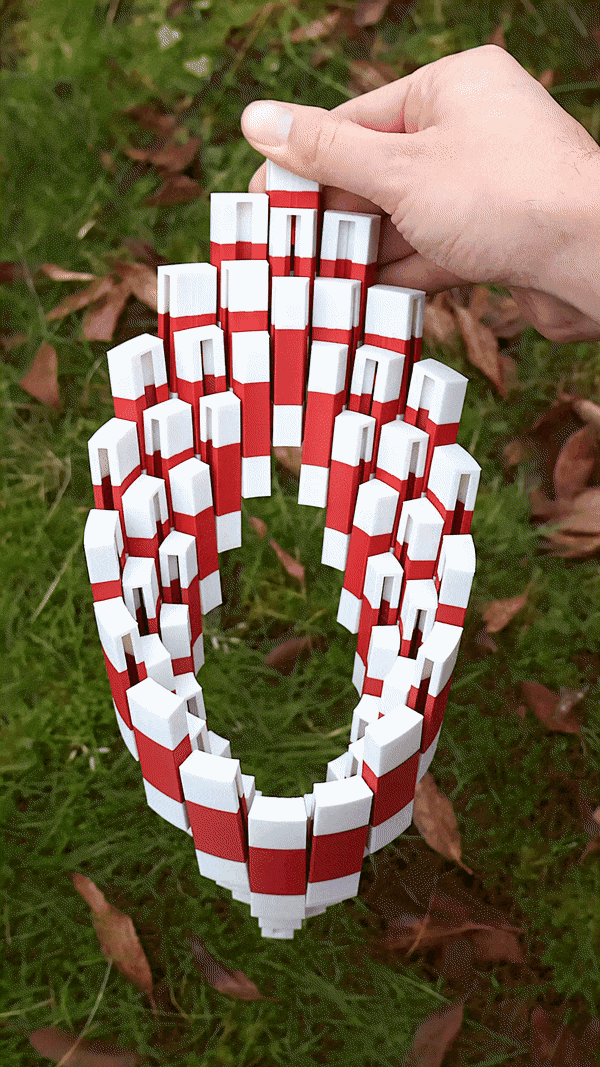 Circle Flexi Grid Fidget Toy 3d model