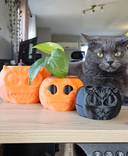 Spinning Pumpkin Planter 3d model