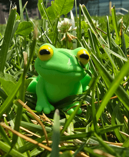3DL Frogs 3d model