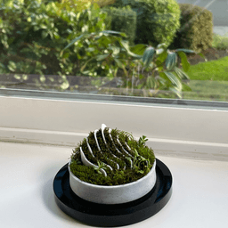 OASIS Terrarium 3d model