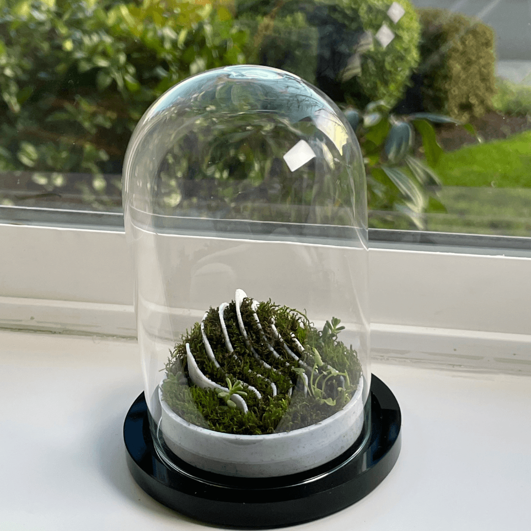 OASIS Terrarium 3d model