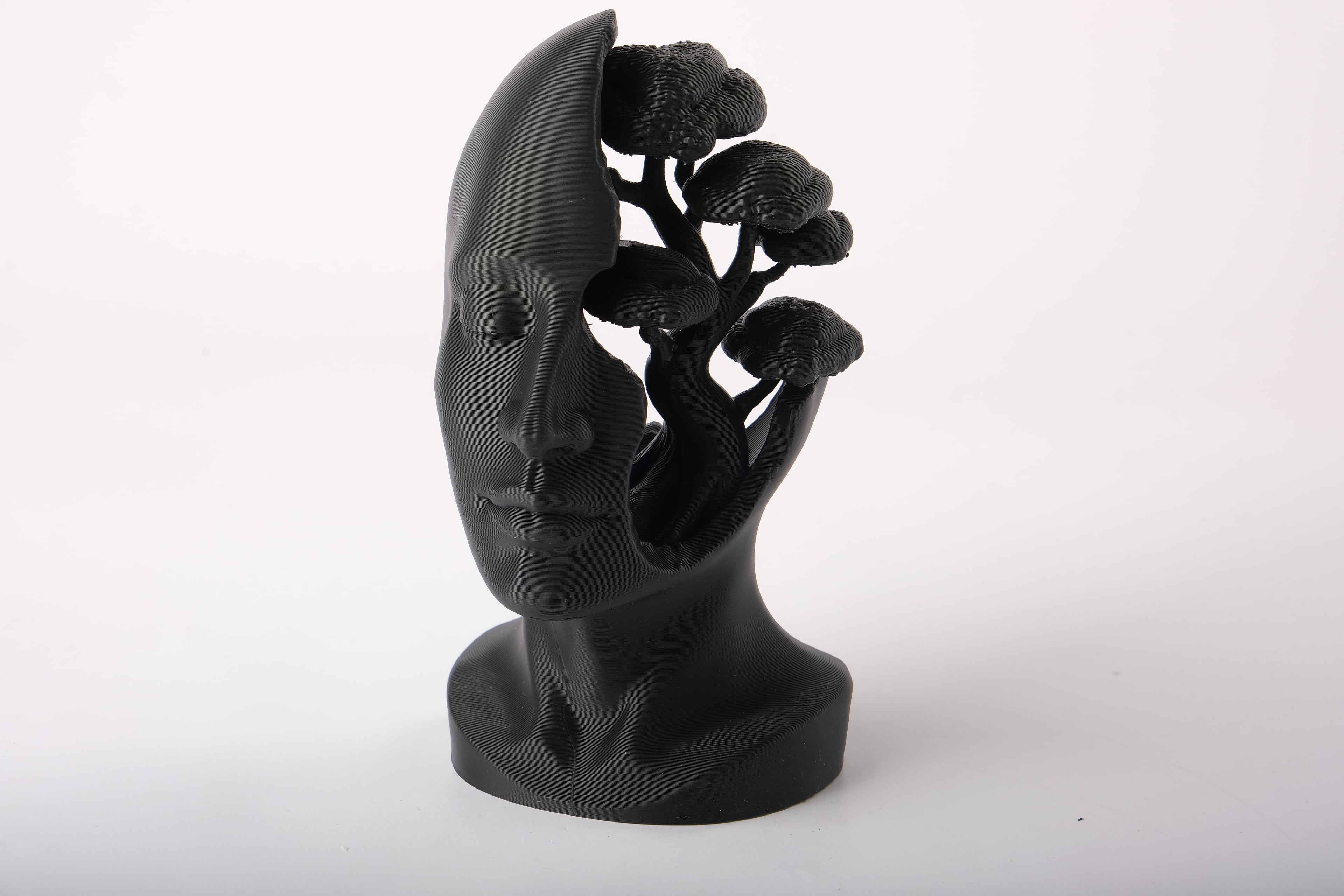 Tree Of Mind - Artistic Abstract Bust 3d model