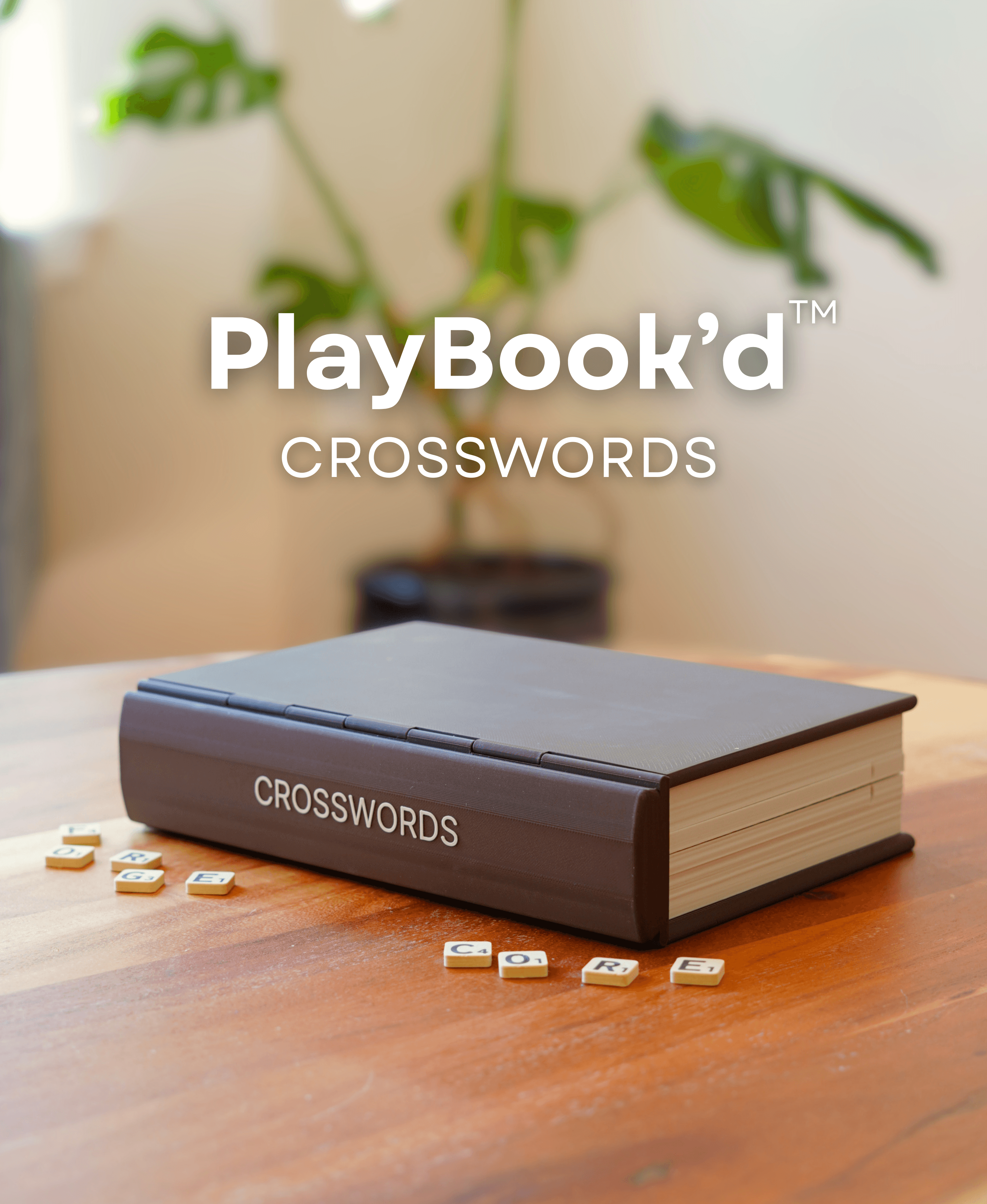 PlayBook'd Crosswords 3d model