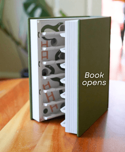 PlayBook'd Snakes and Ladders 3d model